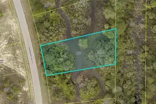 453 Norwood Ave S, Lehigh Acres, FL 33974 - Photo 1