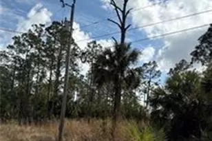 1242 Creary St E, Lehigh Acres, FL 33974 - Photo 1