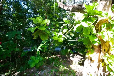 1313 Solana Rd W #A3, Naples, FL 34103 - Photo 29