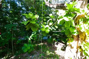 1313 Solana Rd W, Naples, FL 34103 - Photo 29