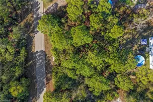 3402 74th St W, Lehigh Acres, FL 33971 - Photo 5