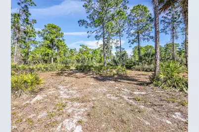 2007 22nd Ave NE, Naples, FL 34120 - Photo 43