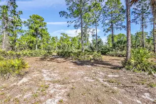 2007 22nd Ave NE, Naples, FL 34120 - Photo 43