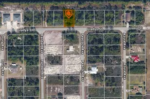 1035 Gladys St, Lehigh Acres, FL 33974 - Photo 5