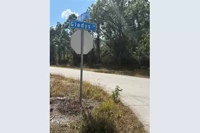 1035 Gladys St, Lehigh Acres, FL 33974 - Photo 3