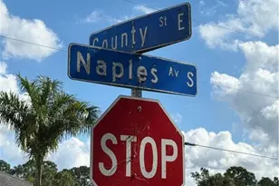 County St E, Lehigh Acres, FL 33974 - Photo 5