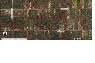 00 52nd Ave NE, Naples, FL 34120 - Photo 3