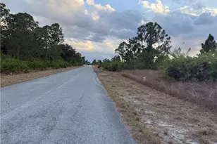 521 Fitch Ave, Lehigh Acres, FL 33972 - Photo 3