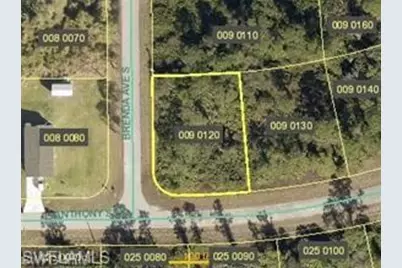 925 Anthony St E, Lehigh Acres, FL 33974 - Photo 1