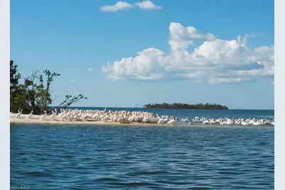 254 Newport Dr #412, Naples, FL 34114 - Photo 35