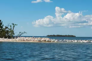 254 Newport Dr, Naples, FL 34114 - Photo 35