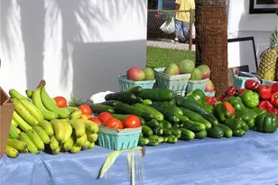 5403 Fox Hollow Dr, Naples, FL 34104 - Photo 37