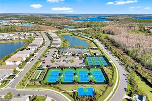 20812 Thistle Leaf Ln, Estero, FL 33928 - Photo 31