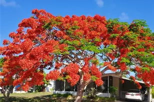 26257 Queen Mary Ln, Bonita Springs, FL 34135 - Photo 1