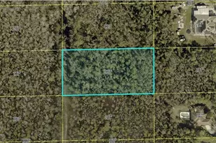 24265 Rocky Rd, Bonita Springs, FL 34135 - Photo 1