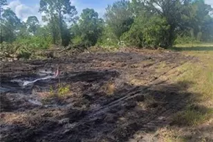 4204 E 19th St, Lehigh Acres, FL 33972 - Photo 3