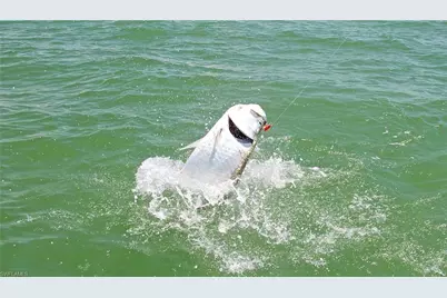 162 Newport Dr #1207, Naples, FL 34114 - Photo 47