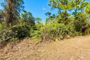 2007 Truman Ave, Alva, FL 33920 - Photo 5