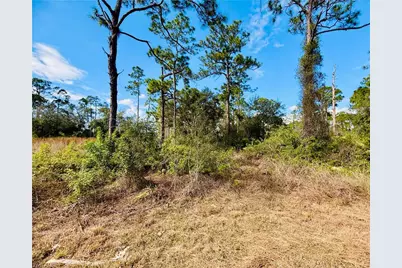 2007 Truman Ave, Alva, FL 33920 - Photo 3