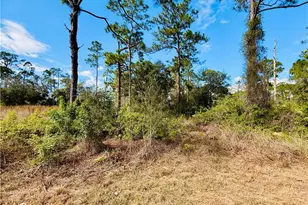 2007 Truman Ave, Alva, FL 33920 - Photo 3