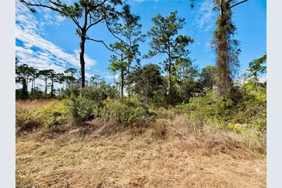 2007 Truman Ave, Alva, FL 33920 - Photo 1