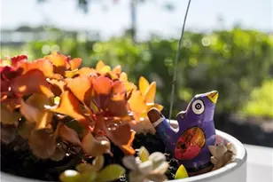 6198 Revelry Ct, Ave Maria, FL 34142 - Photo 37