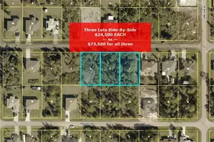 2911 45th St W, Lehigh Acres, FL 33971 - Photo 1