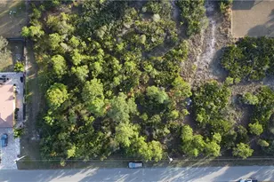 2911 45th St W, Lehigh Acres, FL 33971 - Photo 11