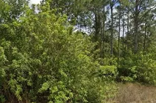 1709 Congress Ave, Lehigh Acres, FL 33972 - Photo 1