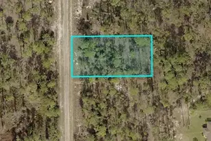 1212 Grant Ave, Lehigh Acres, FL 33972 - Photo 1