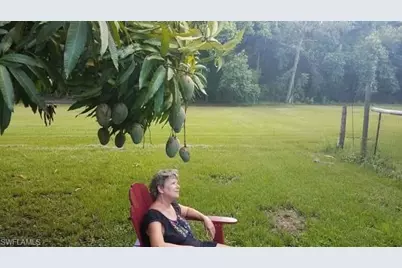 11170 Lager Ln, Naples, FL 34114 - Photo 21