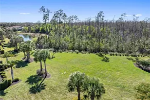 20206 Black Tree Ln, Estero, FL 33928 - Photo 37