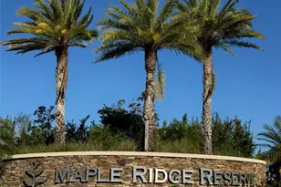 5344 Allen Pl, Ave Maria, FL 34142 - Photo 41