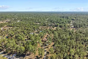 2610 6th Ave NE, Naples, FL 34120 - Photo 41