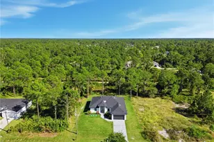 315 Long Ave S, Lehigh Acres, FL 33974 - Photo 49