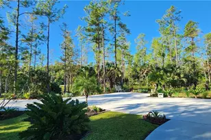 4445 2nd Ave NE, Naples, FL 34120 - Photo 47