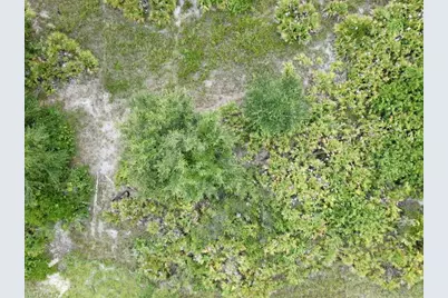 211 Pageant St, Lehigh Acres, FL 33974 - Photo 3