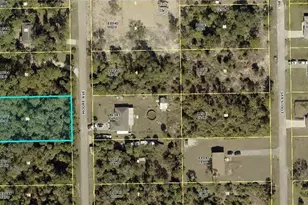 2315 Moore Ave, Alva, FL 33920 - Photo 1