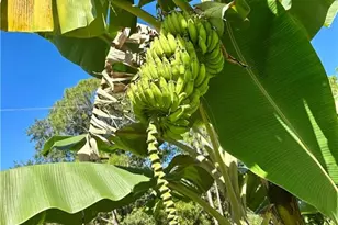 12 35th Ave NW, Naples, FL 34120 - Photo 47