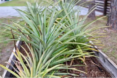 12 35th Ave NW, Naples, FL 34120 - Photo 45