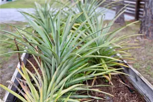 12 35th Ave NW, Naples, FL 34120 - Photo 45