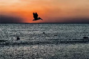 1494 Borghese Ln, Naples, FL 34114 - Photo 49