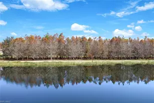 17351 Cherrywood Ct, Bonita Springs, FL 34135 - Photo 23