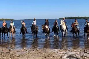 6050 Stringfellow Rd, Other, FL 33956 - Photo 7