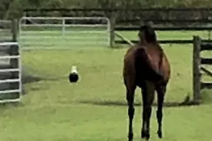 6050 Stringfellow Rd, Other, FL 33956 - Photo 5