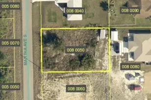 919 Martha Ave S, Lehigh Acres, FL 33974 - Photo 1