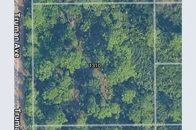 1310 Truman Ave, Lehigh Acres, FL 33972 - Photo 1