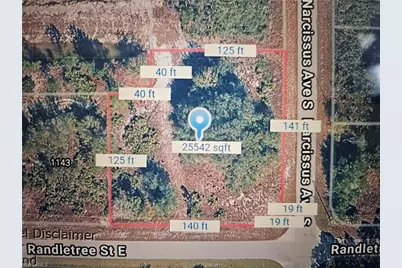 1145 E Randletree St, Lehigh Acres, FL 33936 - Photo 3