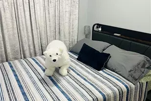 6219 Blossom Ave, Tampa, FL 33614 - Photo 7