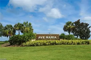6007 Ellerston Wy, Ave Maria, FL 34142 - Photo 43